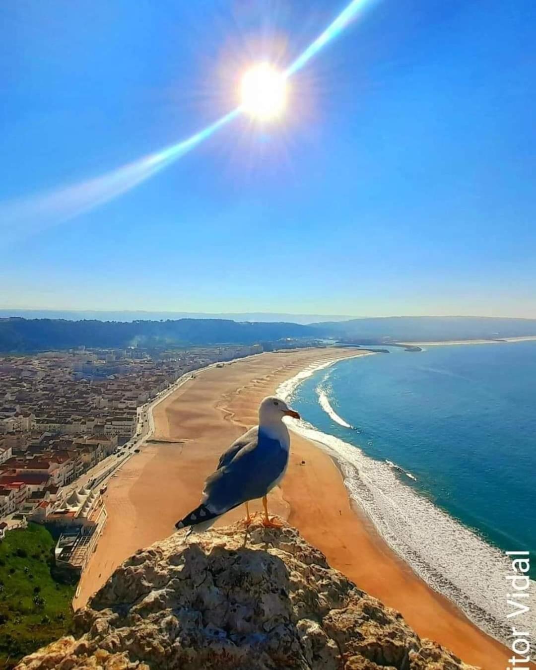 נאזרה Maresia Villa Mar מראה חיצוני תמונה